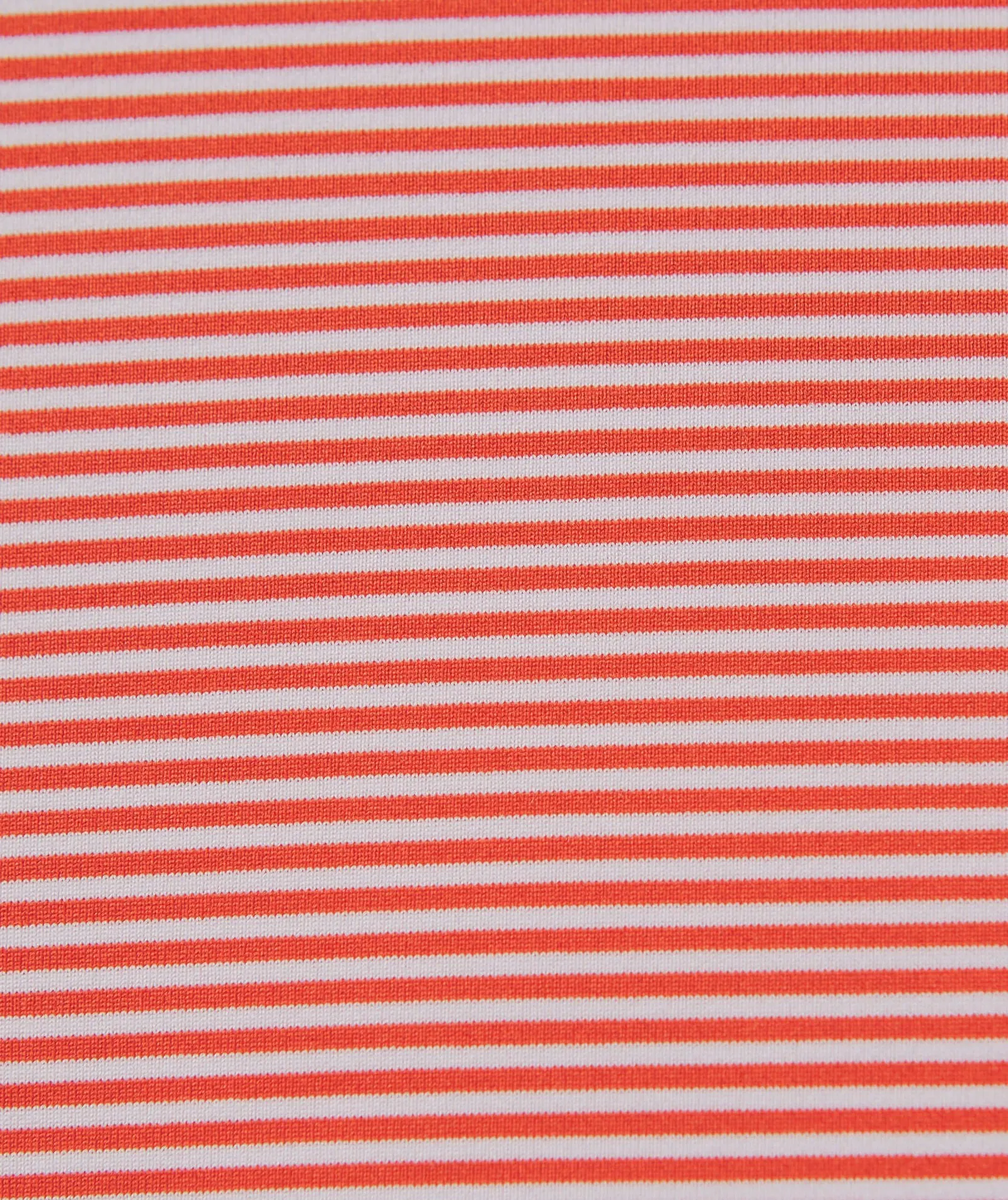 Carter Stripe
