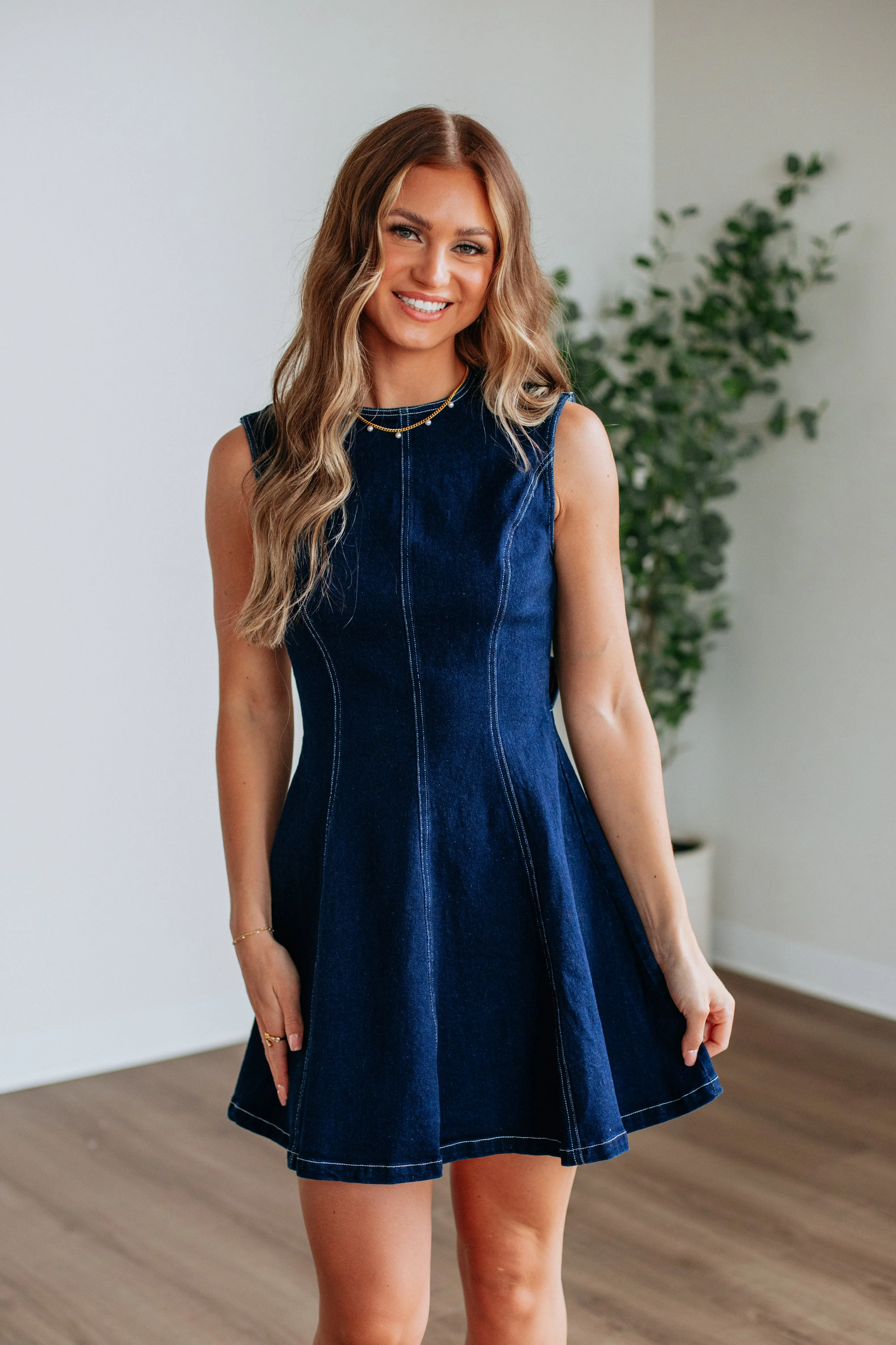 Darbi Denim Dress