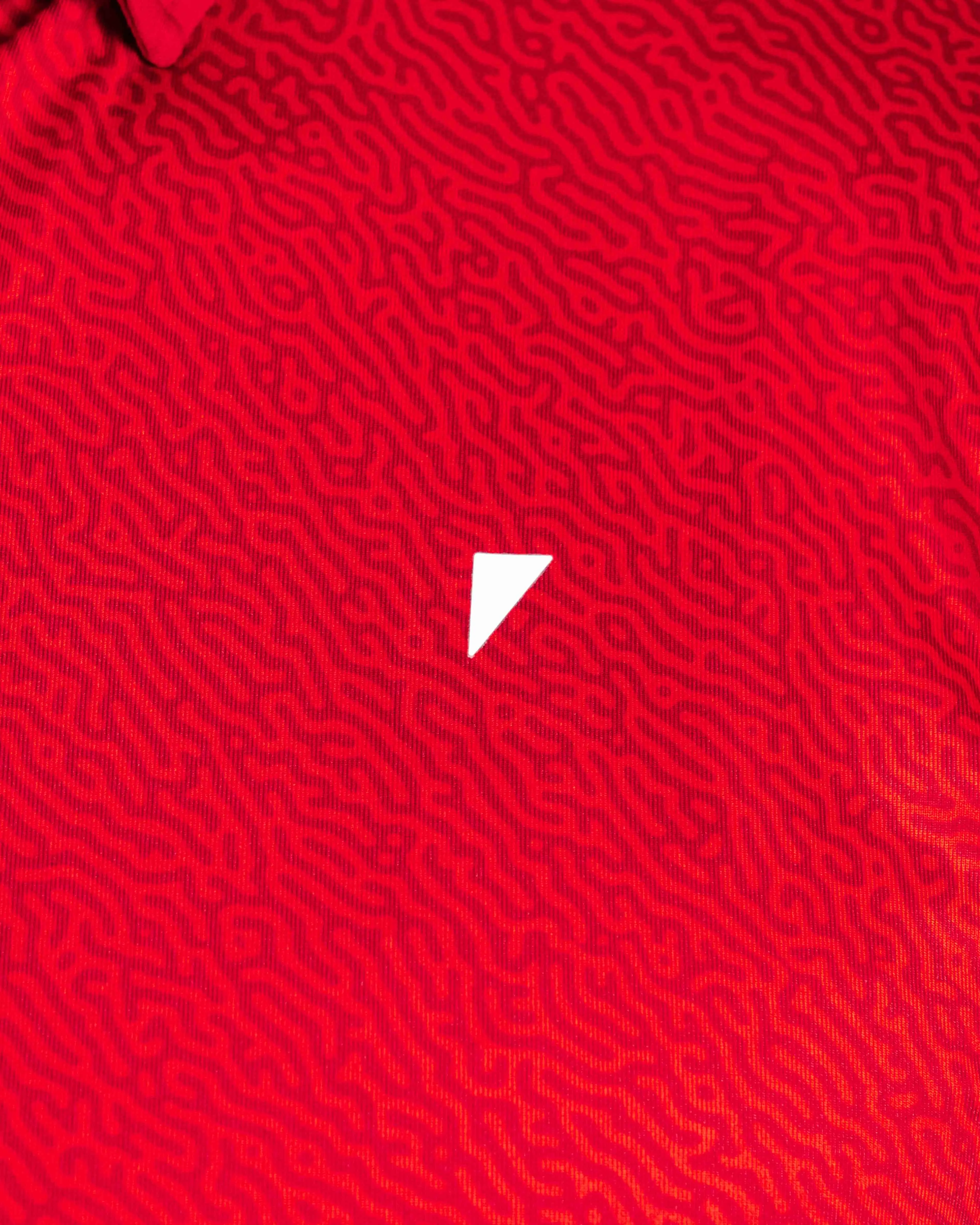 Red Maze Classic Polo,Men Top